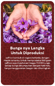 SaffronArtboard-2-copy-3